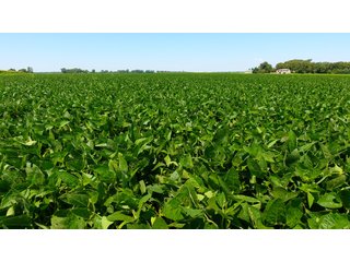 Property photo 5 - LAND AUCTION - 75+/- ACRES OFFERED IN 1 TRACT IN LAKE COUNTY, INDIANA